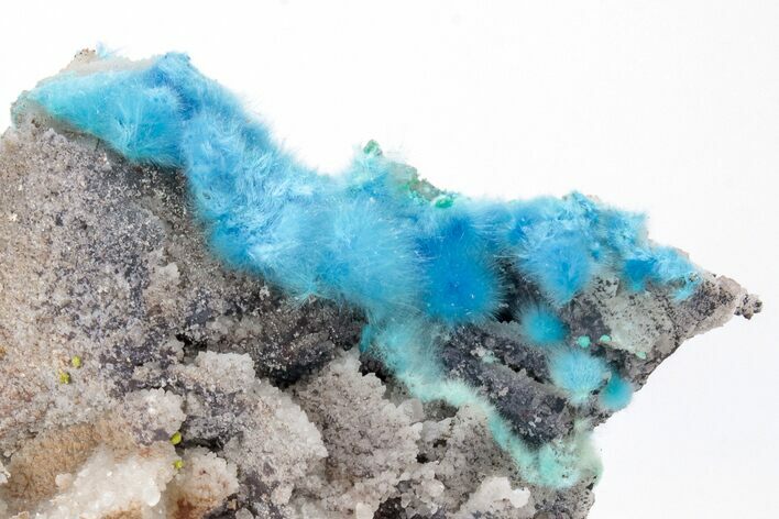 Vibrant Blue, Cyanotrichite with Cubic Fluorite - China #218394